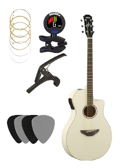 Professional Guitar Package