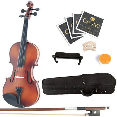 Drumroll GN660 professional solidwood Violin